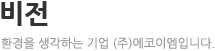 비전